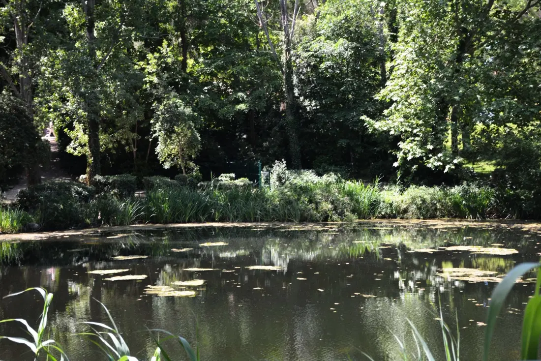 Résidence Les Jardins De Mediterrannee