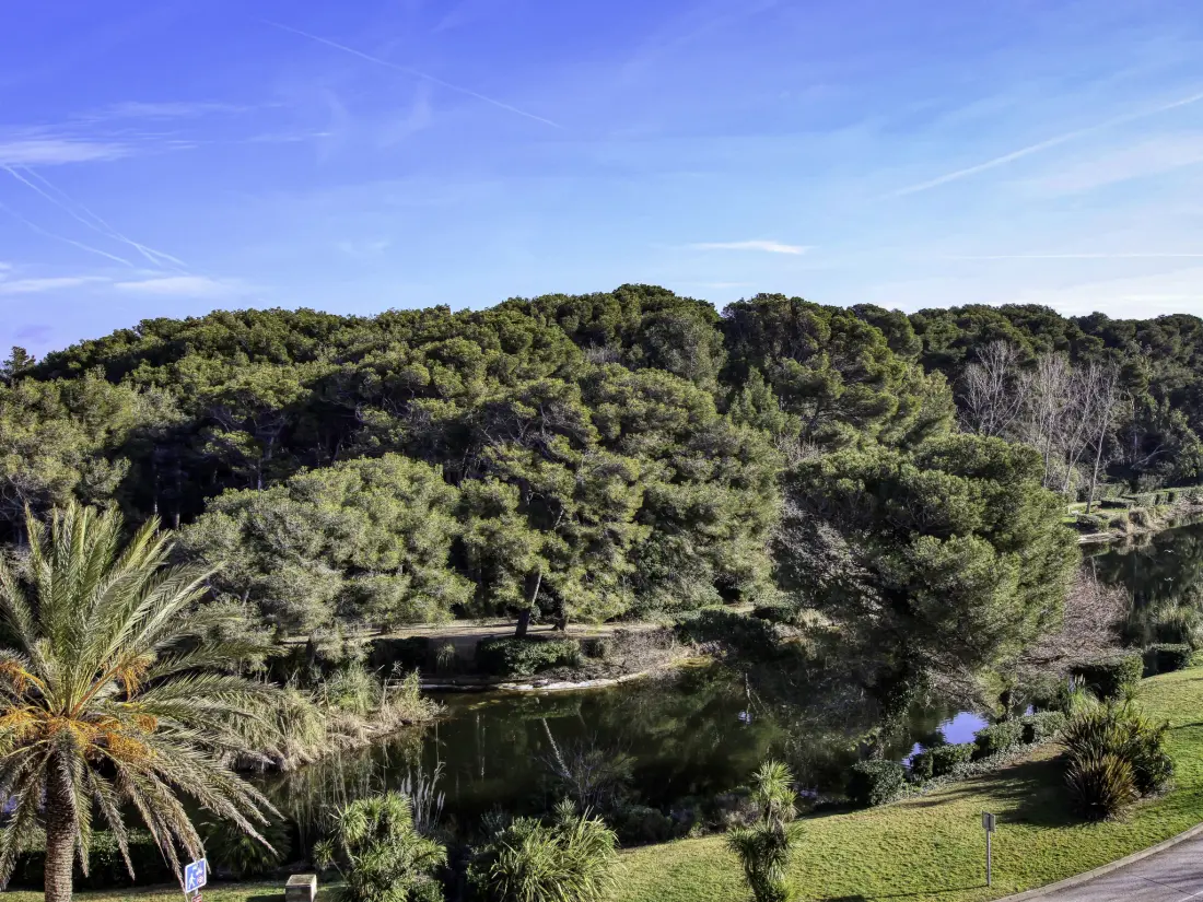 Résidence Les Rivages de Coudoulière