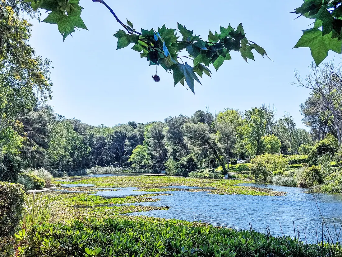 Résidence Les Rivages de Coudoulière