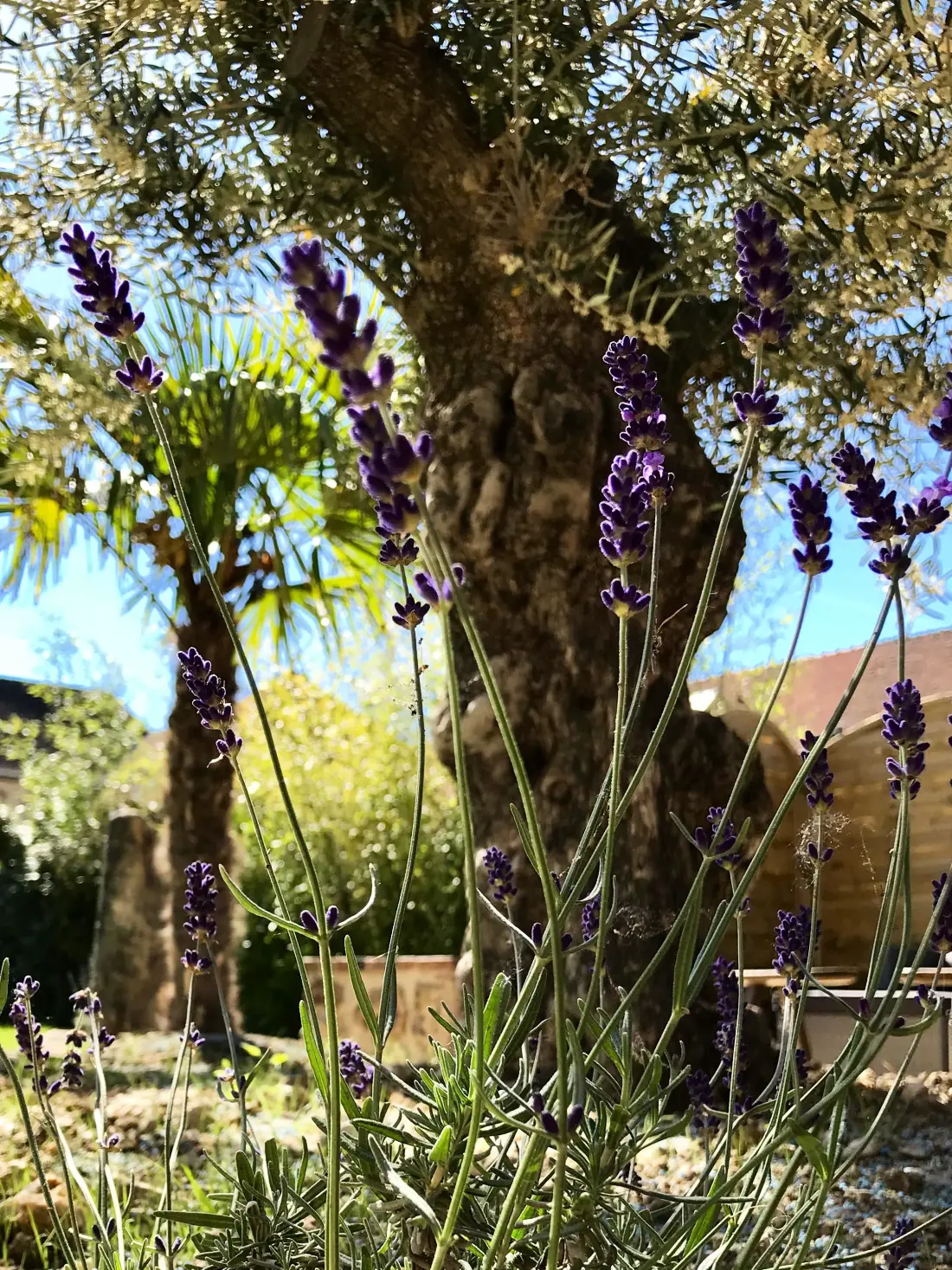 Gîte de France L'homme blanc 4 épis