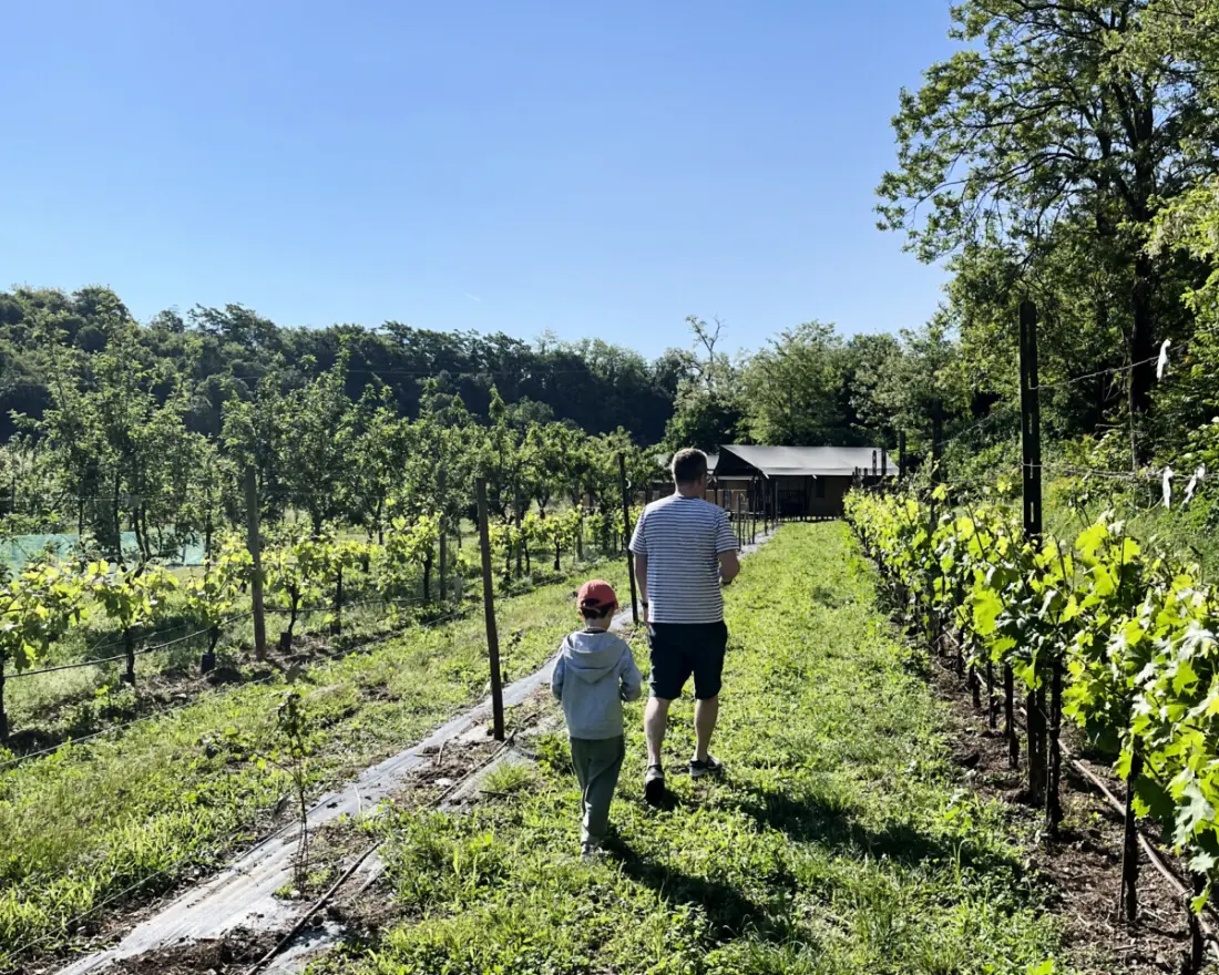 Agriturismo Le Sorgive e Le Volpi (Vodatent)