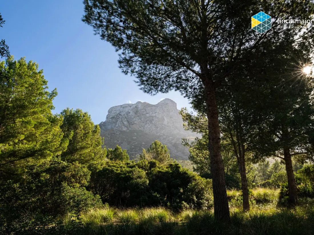 Maison de Vacances Son Serra de Marina 35