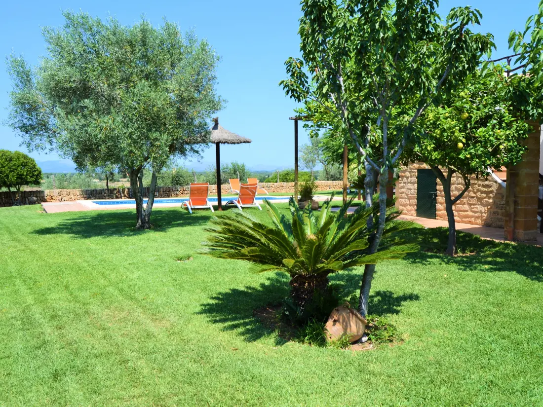 Maison de Vacances Son Serra de Marina 37