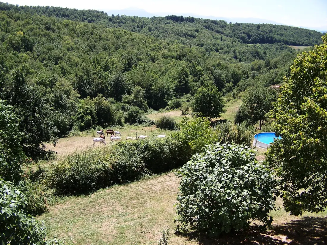 Maison de Vacances Sonnac Sur l'Hers
