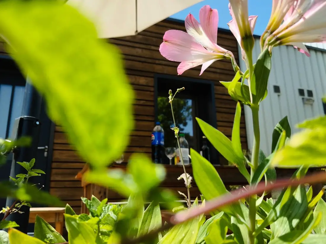 Maison de Vacances Souillac 6