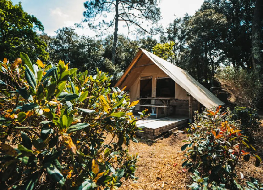 Nicoll's Camp/Pins 4 étoiles★★★★