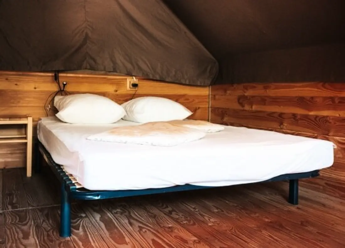 Nicoll's Camp/Pins 4 étoiles★★★★