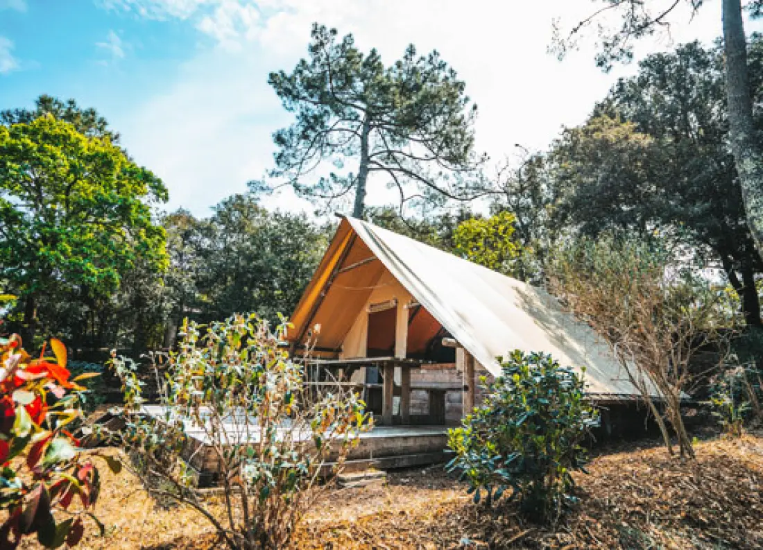 Nicoll's Camp/Pins 4 étoiles★★★★