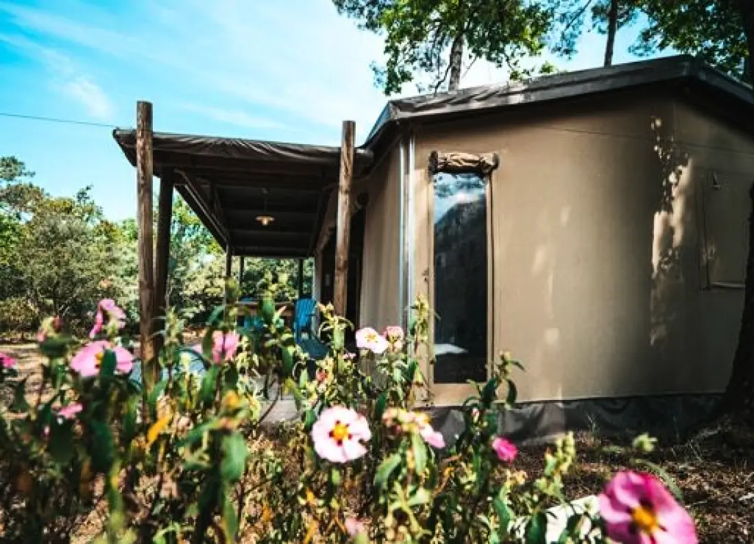 Nicoll's Camp/Pins 4 étoiles★★★★
