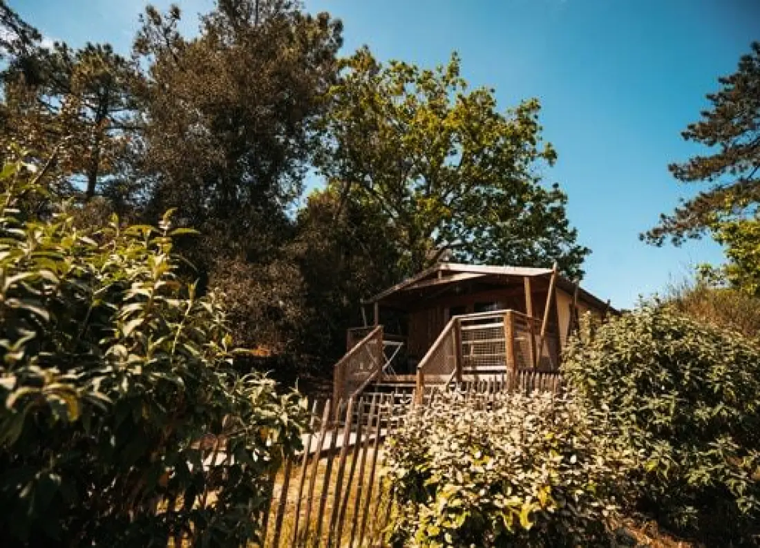 Nicoll's Camp/Pins 4 étoiles★★★★
