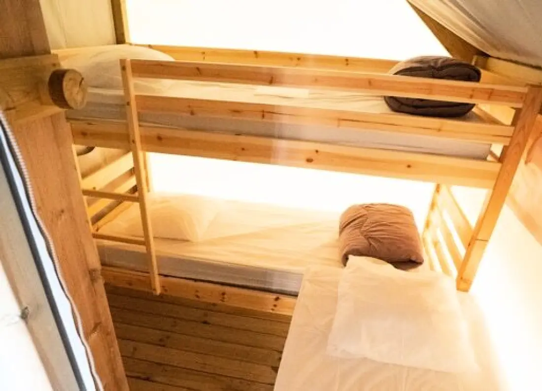 Nicoll's Camp/Pins 4 étoiles★★★★
