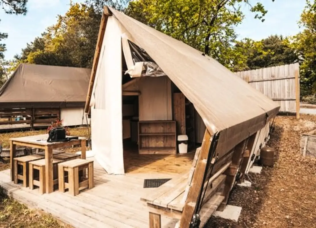 Nicoll's Camp/Pins 4 étoiles★★★★
