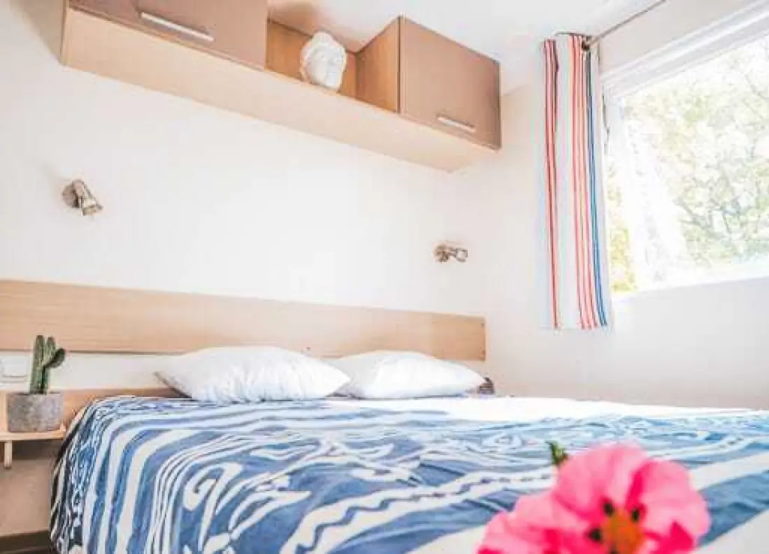 Nicoll's Camp/Pins 4 étoiles★★★★