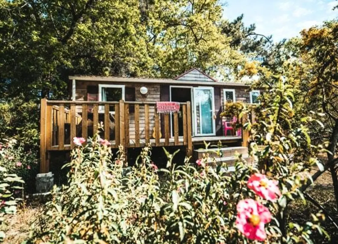 Nicoll's Camp/Pins 4 étoiles★★★★