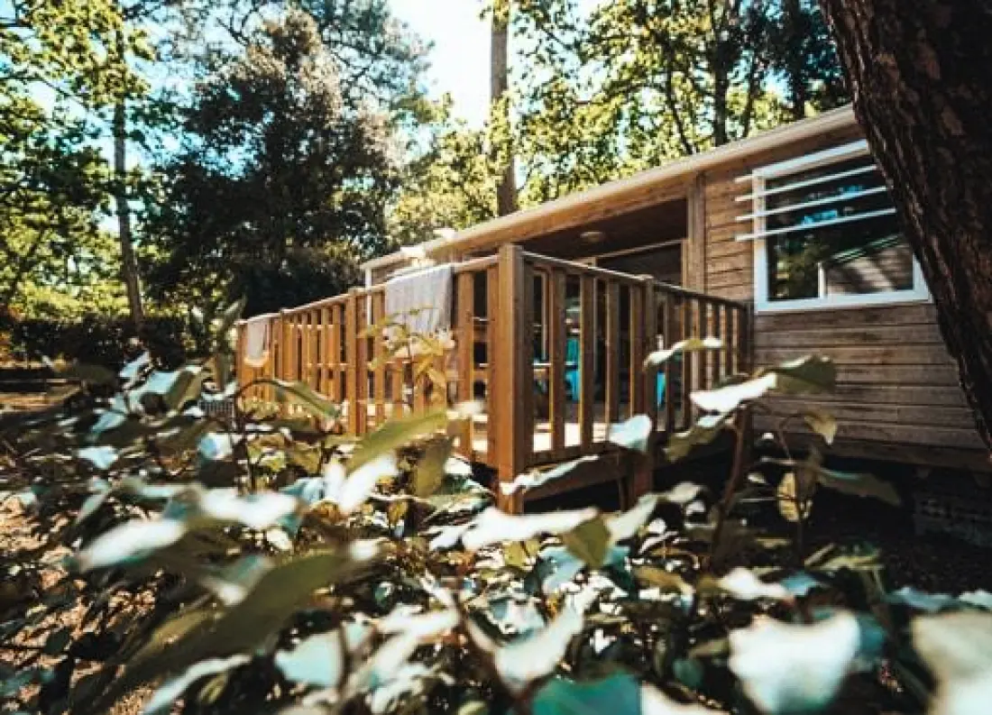 Nicoll's Camp/Pins 4 étoiles★★★★