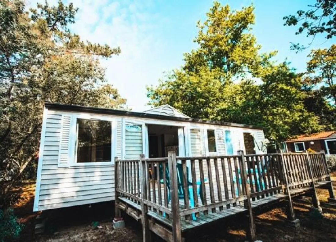 Nicoll's Camp/Pins 4 étoiles★★★★