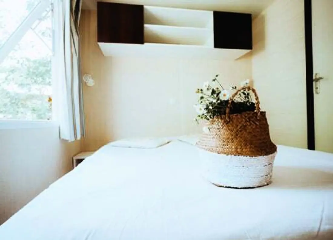Nicoll's Camp/Pins 4 étoiles★★★★