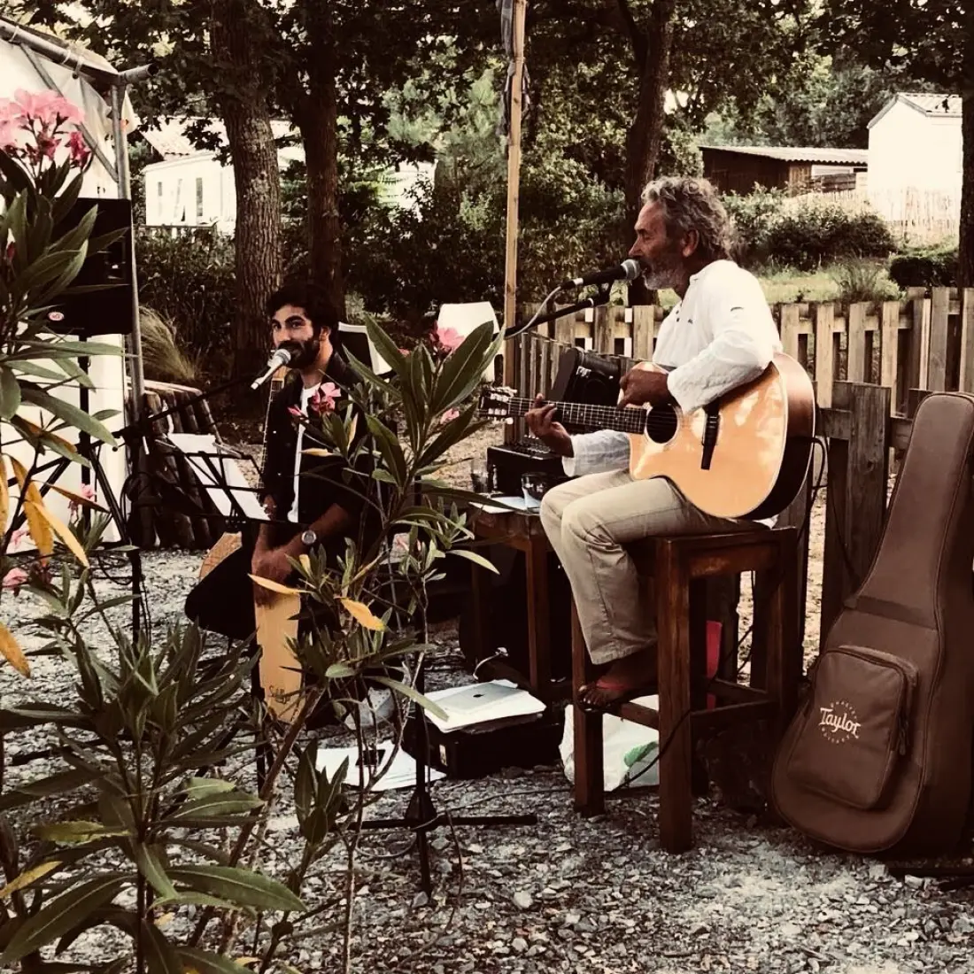 Nicoll's Camp/Pins 4 étoiles★★★★