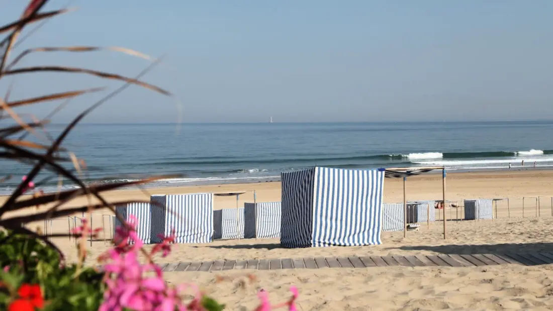 Nicoll's Camp/Pins 4 étoiles★★★★