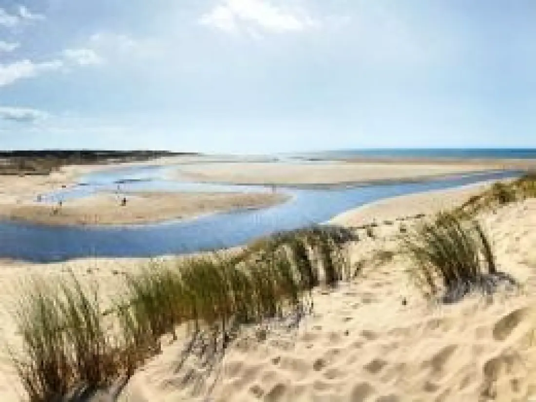 Camping Nature L'Airial4 étoiles★★★★