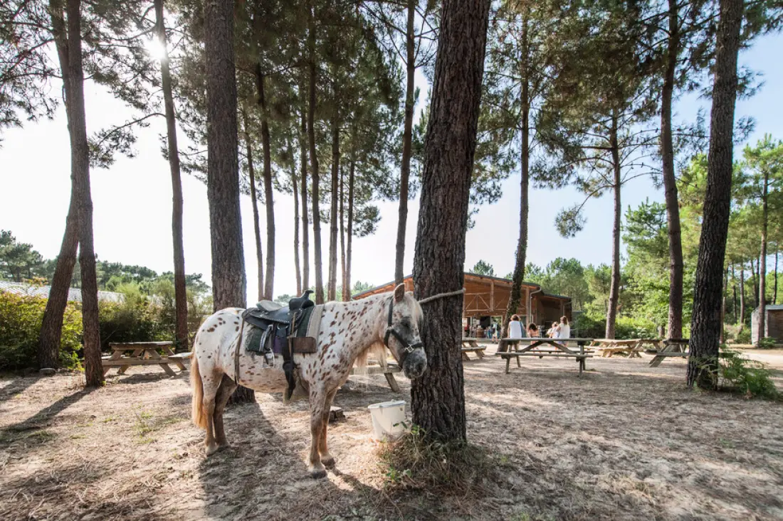 Camping Sandaya Soustons Village 5 étoiles★★★★★