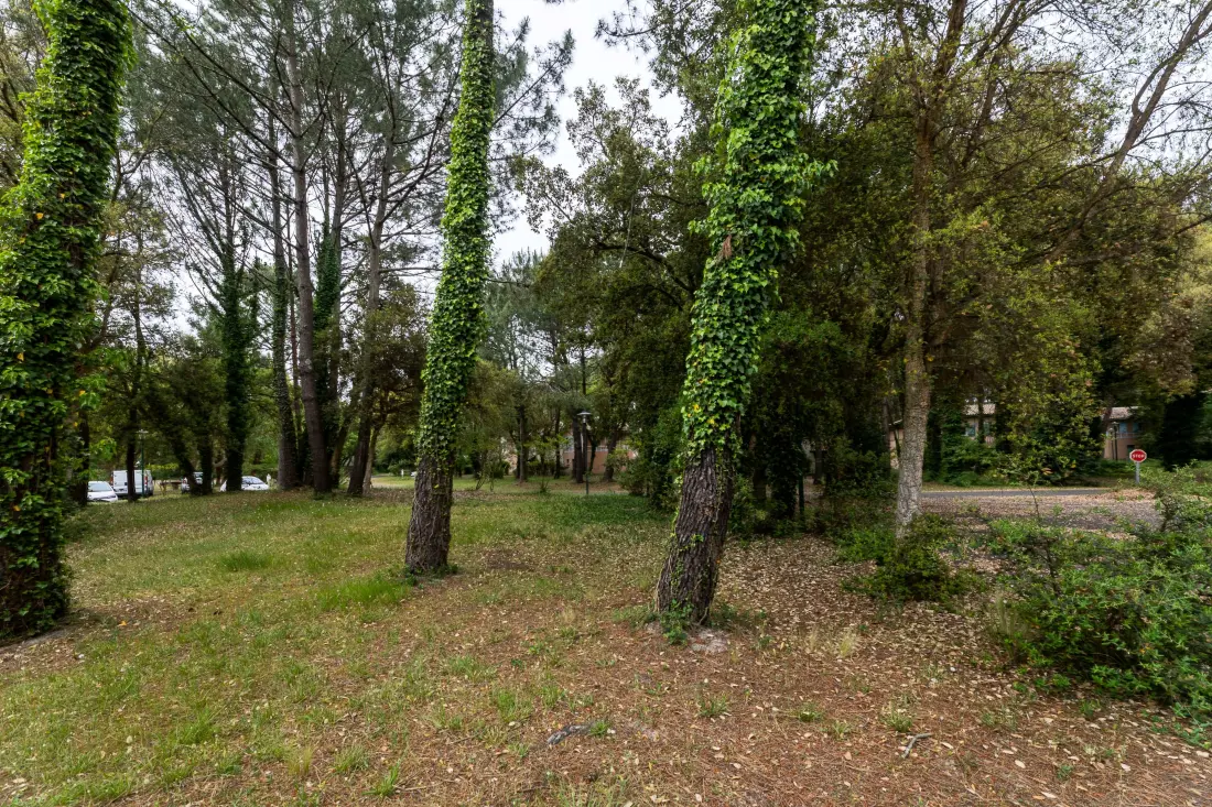 Le Domaine du Golf de Pinsolle - maeva Home