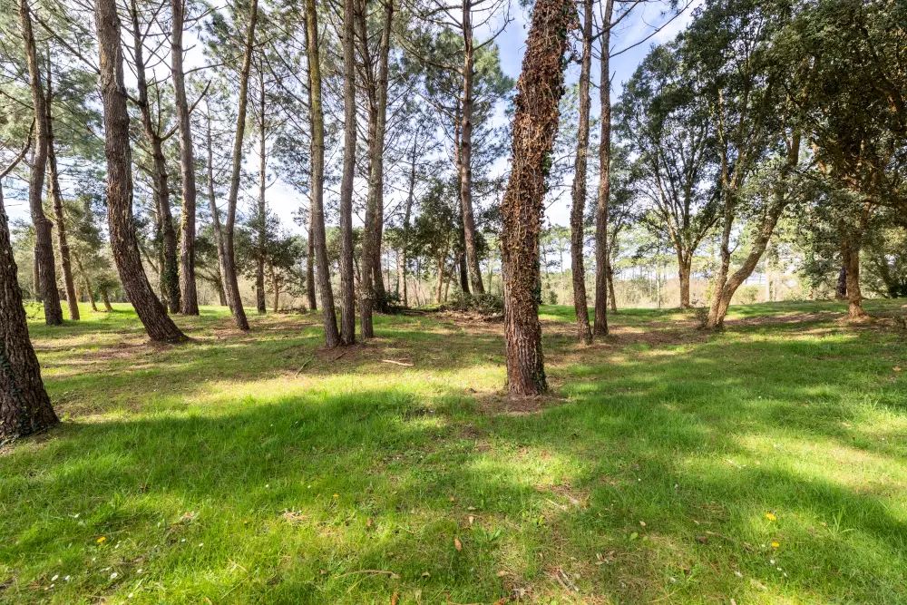 Le Domaine du Golf de Pinsolle - maeva Home