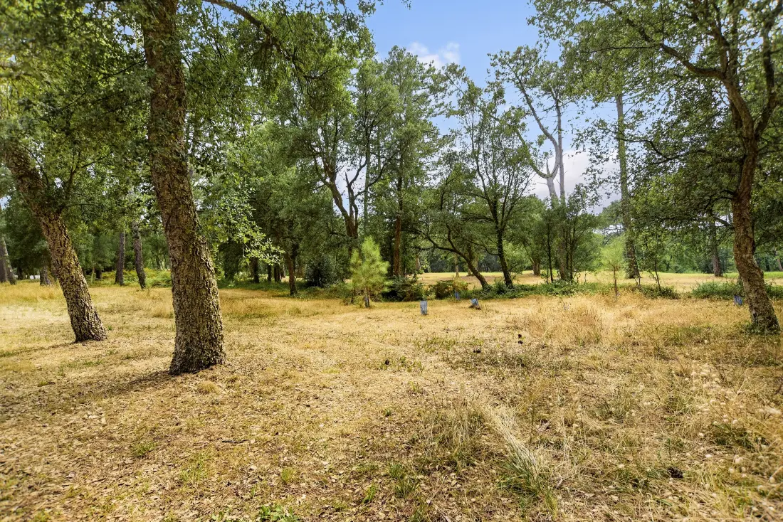 Le Domaine du Golf de Pinsolle - maeva Home