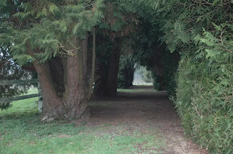 Gîte de France Gîtes de france® - le pavillon 4 épis