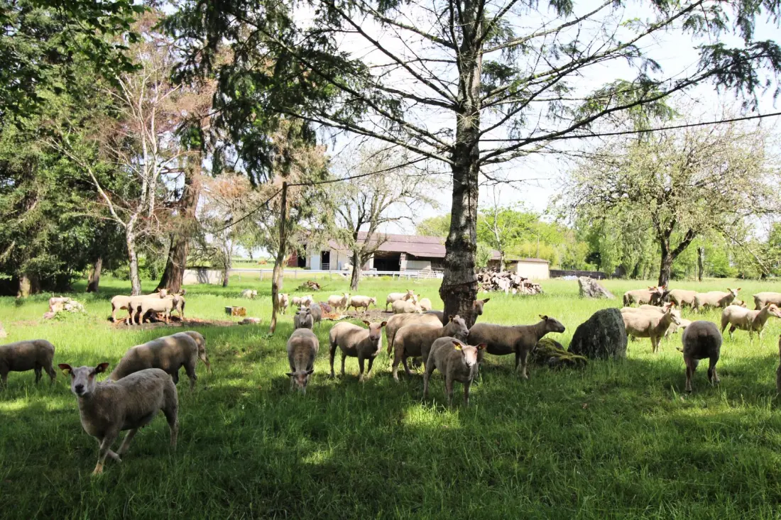 Gîte de France La maison de claire 3 épis