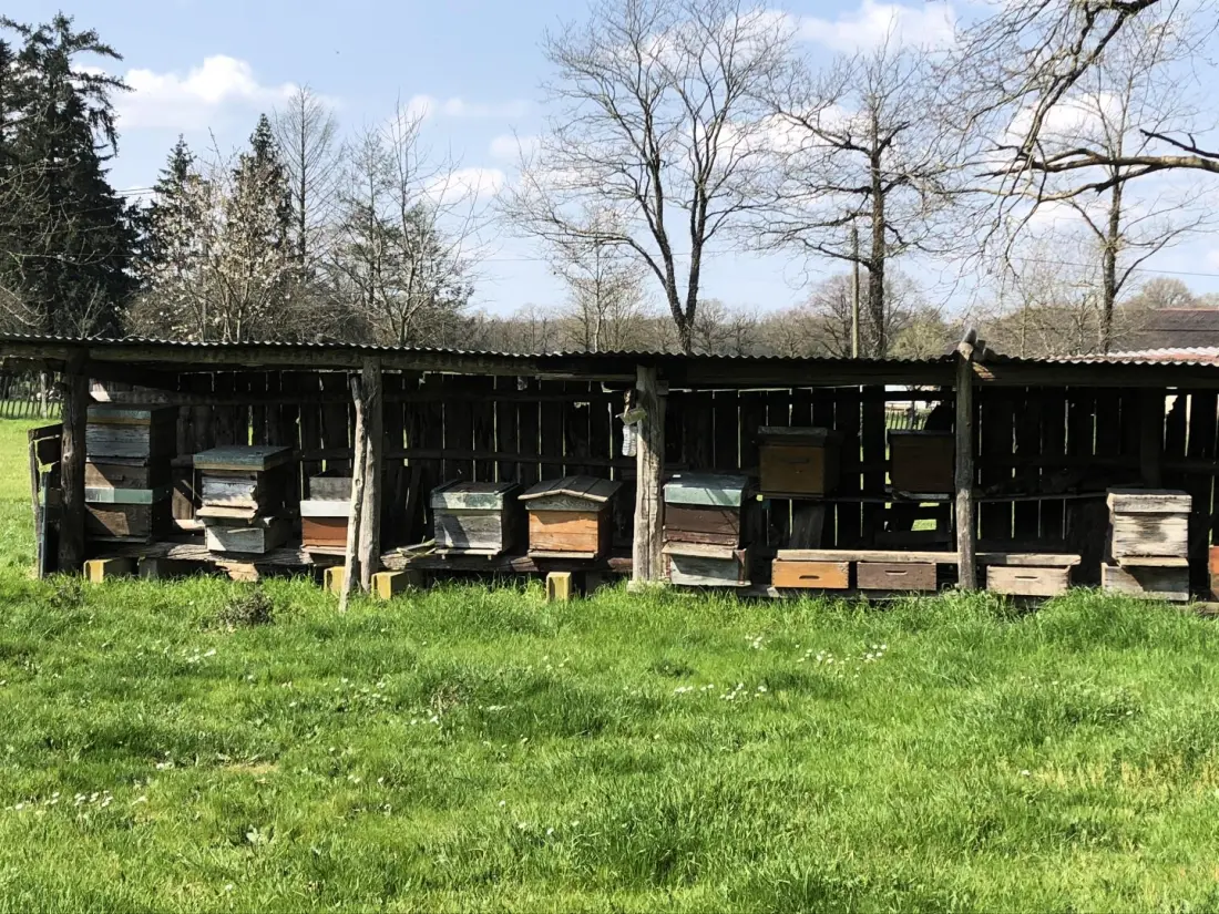 Gîte de France La maison de claire 3 épis
