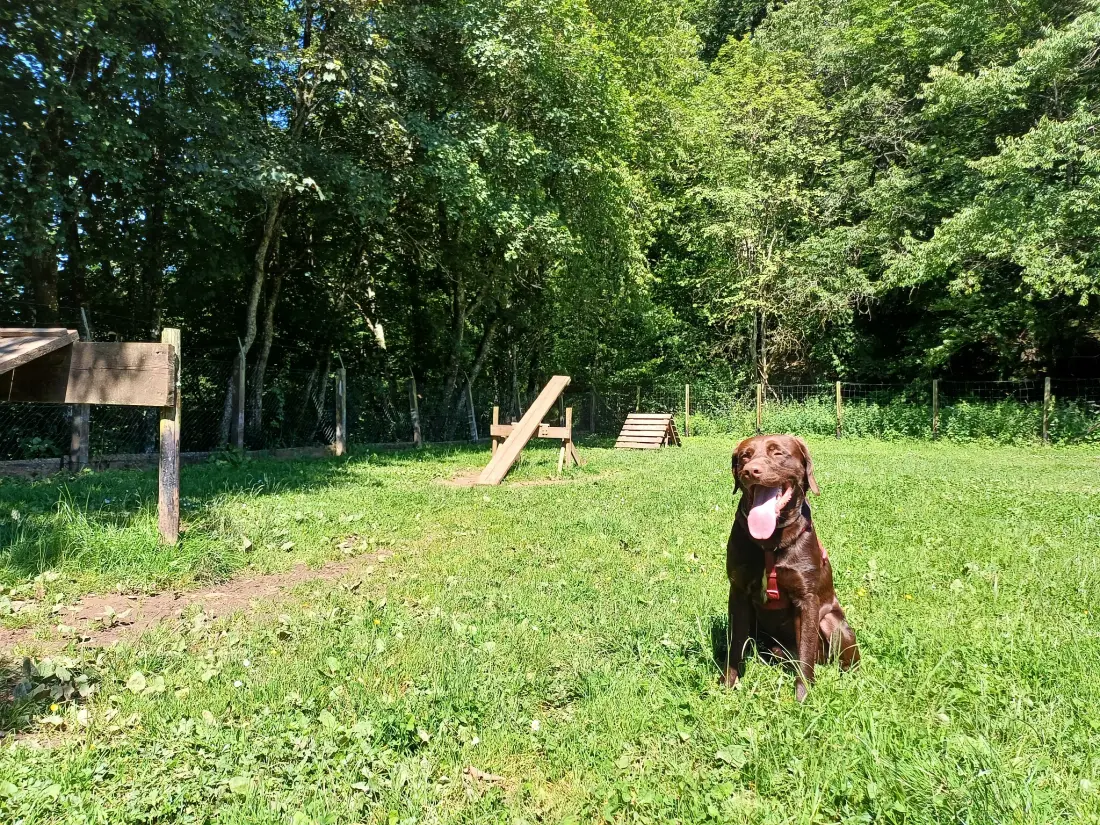 Camping Wirfttal