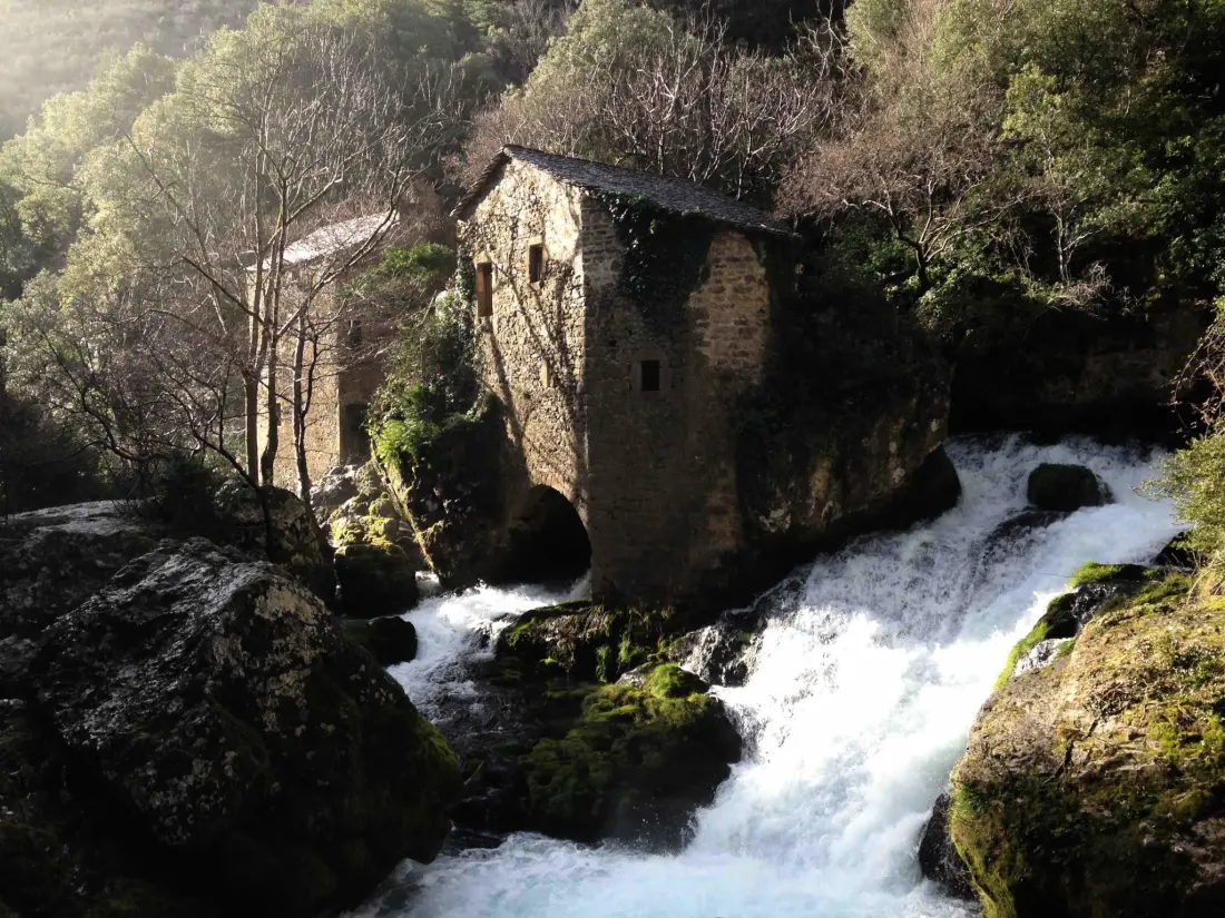 Camping Les Gorges de l'Hérault 3 étoiles★★★