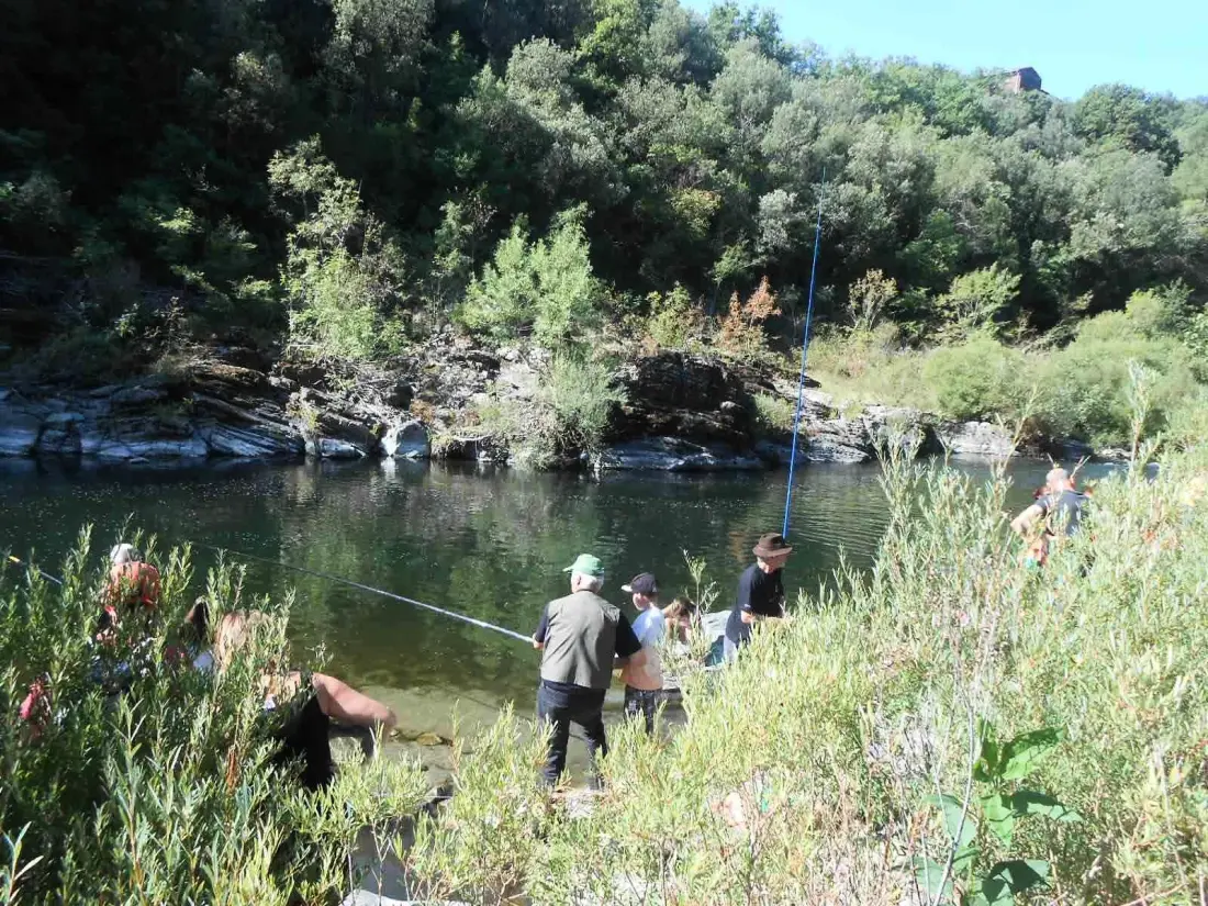 Camping Les Gorges de l'Hérault 3 étoiles★★★