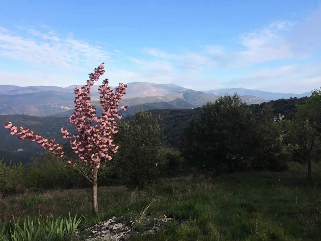 Camping Les Gorges de l'Hérault 3 étoiles★★★
