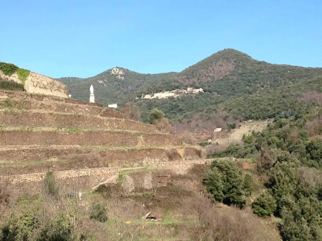 Camping Les Gorges de l'Hérault 3 étoiles★★★