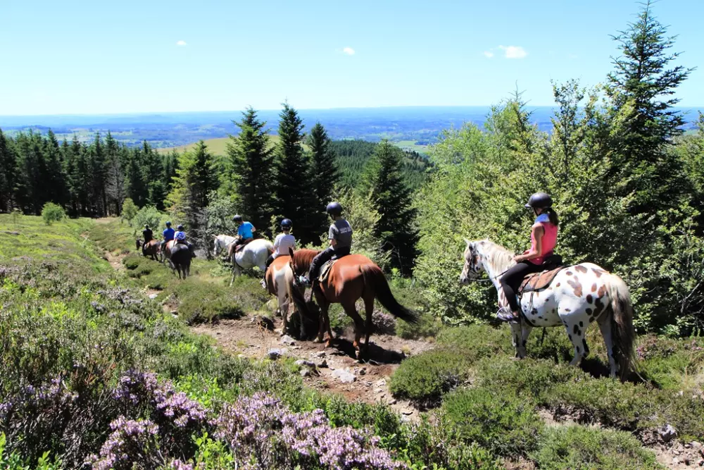 Résidence Le Bois De La Reine3 étoiles★★★
