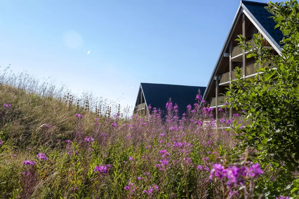 Résidence Goélia Les Chalets de Super-Besse 3 étoiles★★★