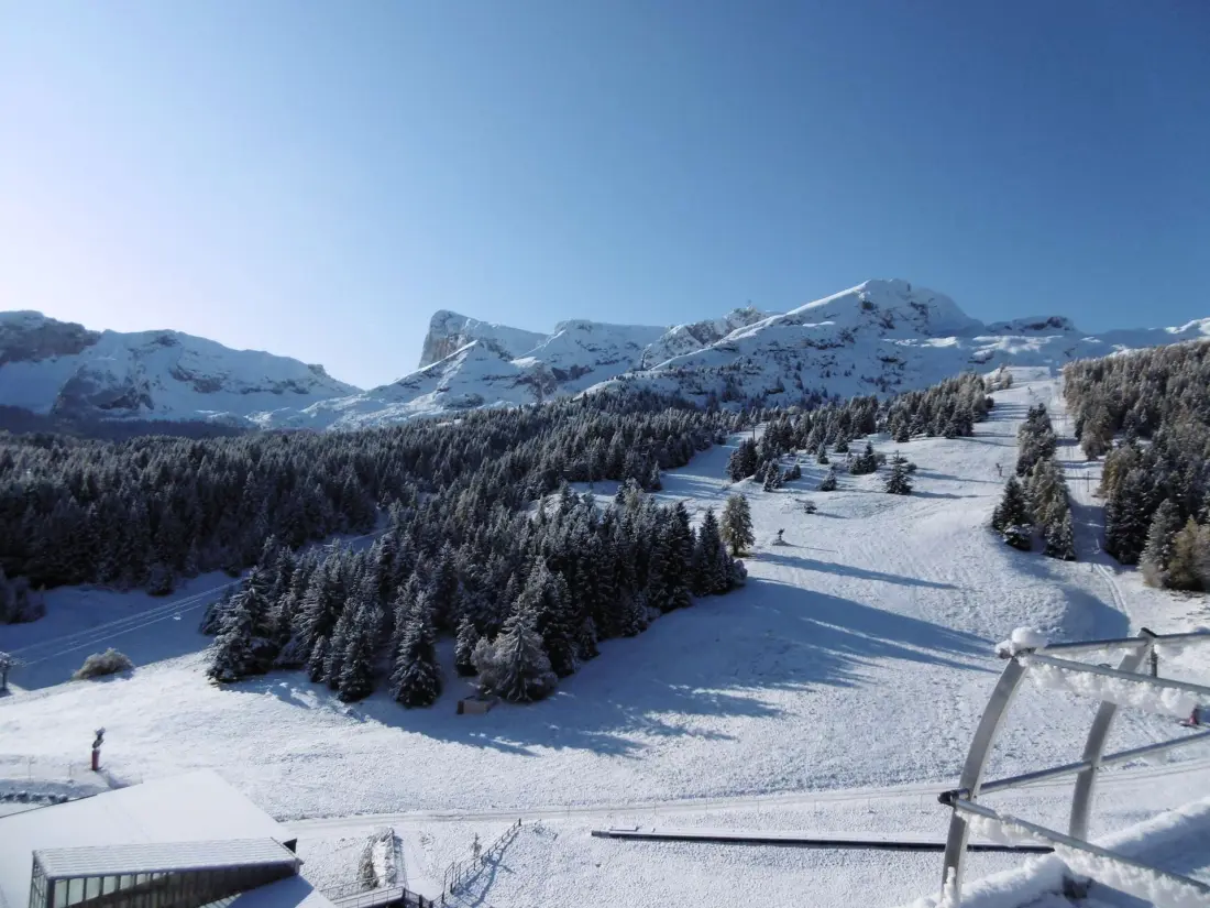 Chalets Superd Heliantheme