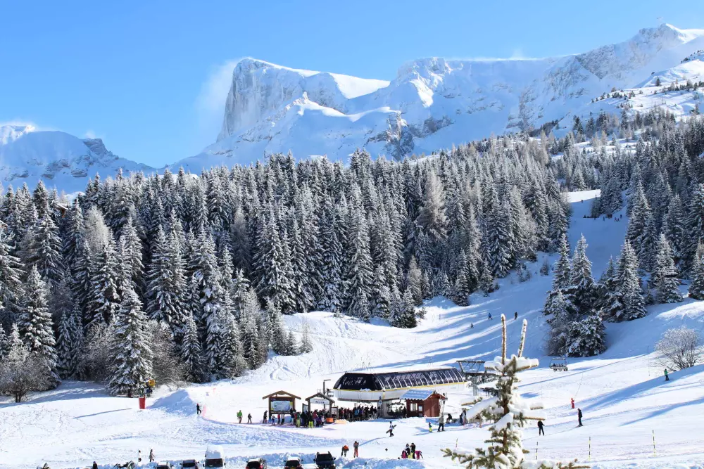 Les Chalets De Superd Fraxinelle