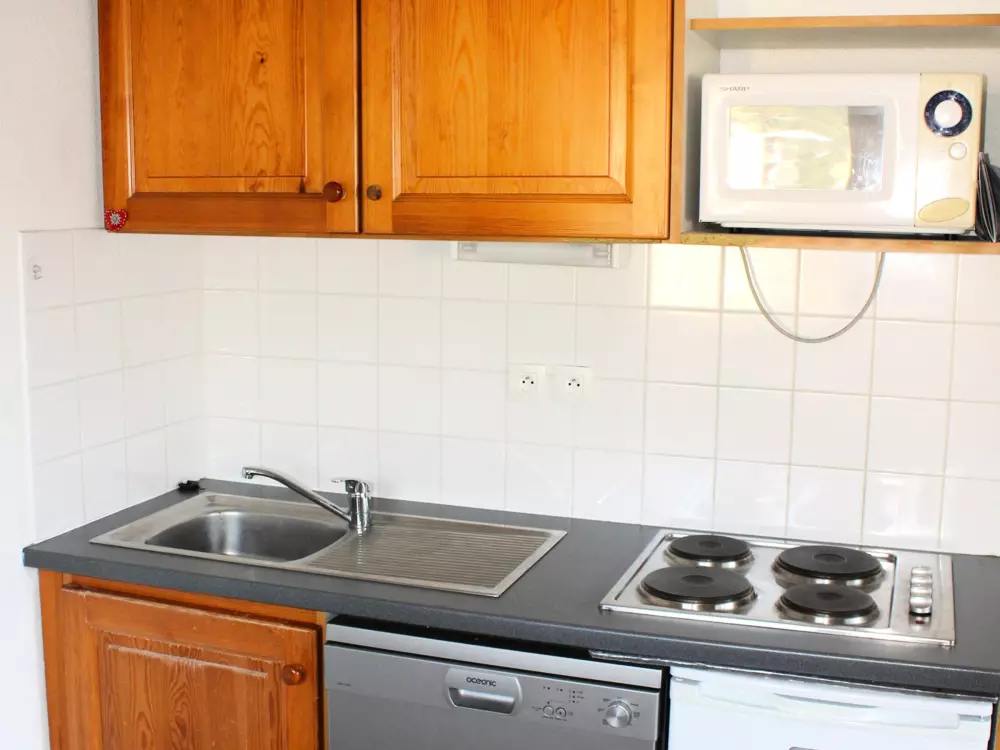 Location de Vacances Le Dévoluy 253