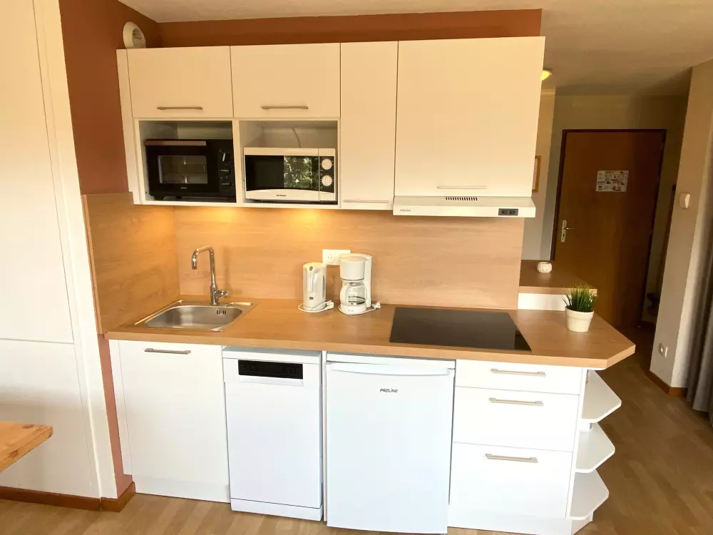 Location de Vacances Le Dévoluy 268