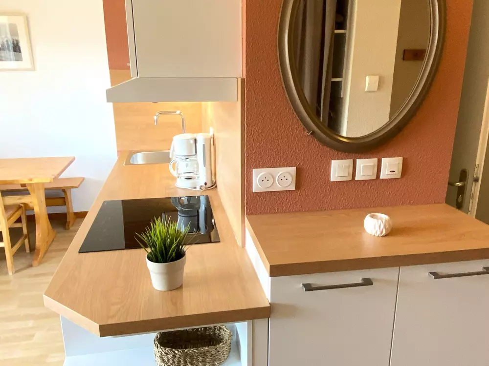 Location de Vacances Le Dévoluy 268