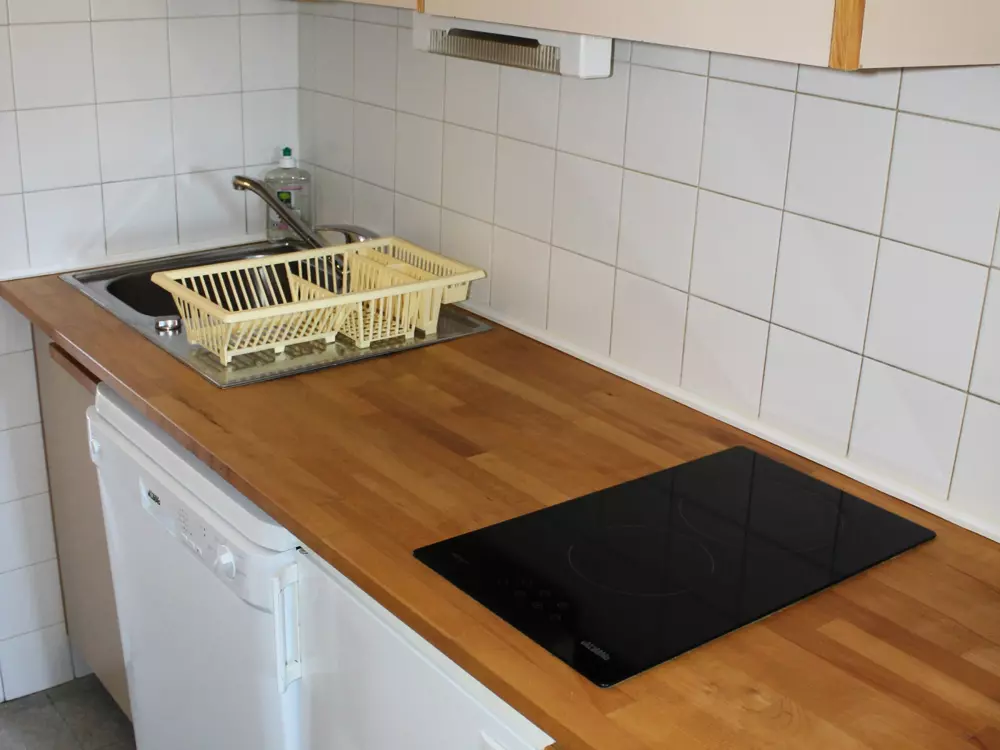 Location de Vacances Le Dévoluy 283