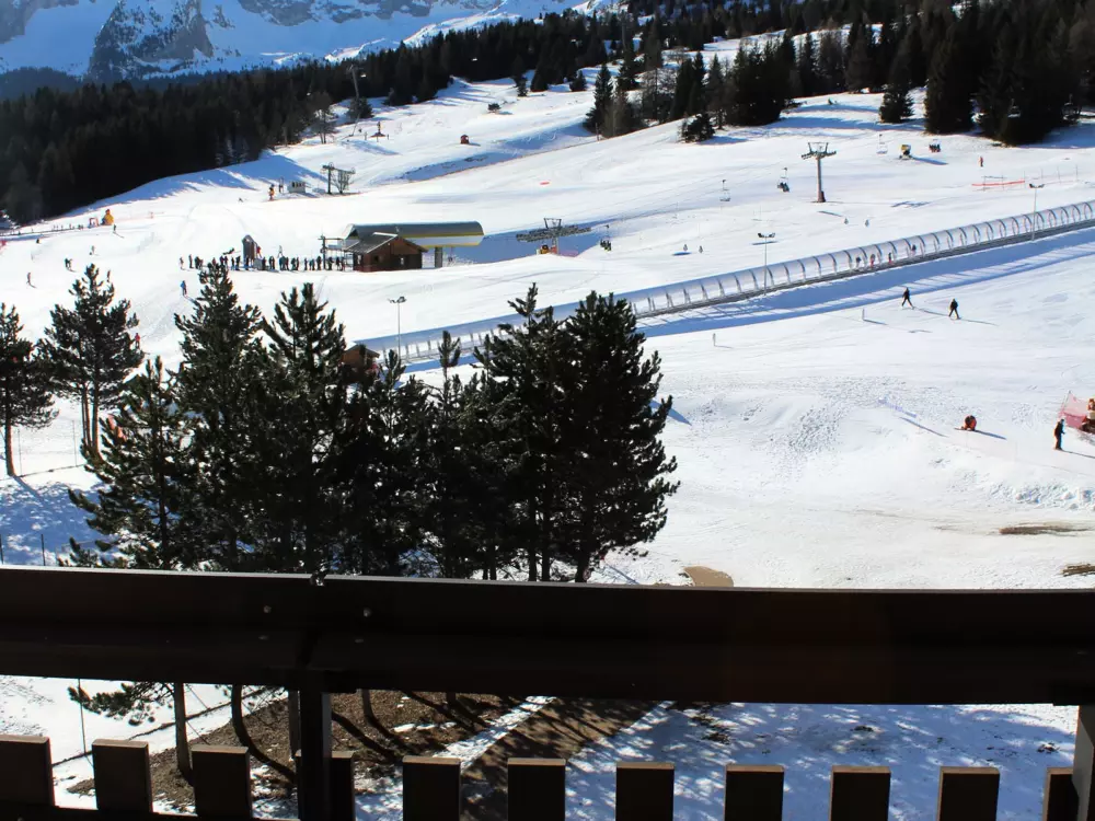 Location de Vacances Le Dévoluy 283