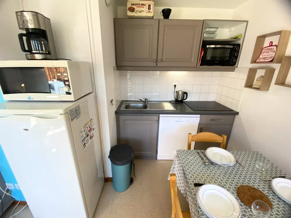 Location de Vacances Le Dévoluy 285