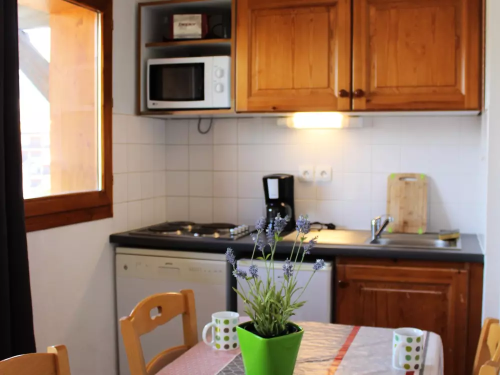 Location de Vacances Le Dévoluy 317