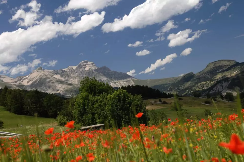 Résidence Odalys l'Orée des Pistes 4 étoiles★★★★