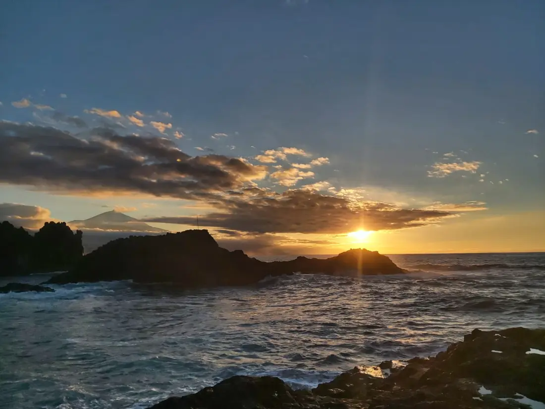 Location de Vacances Tacoronte 6