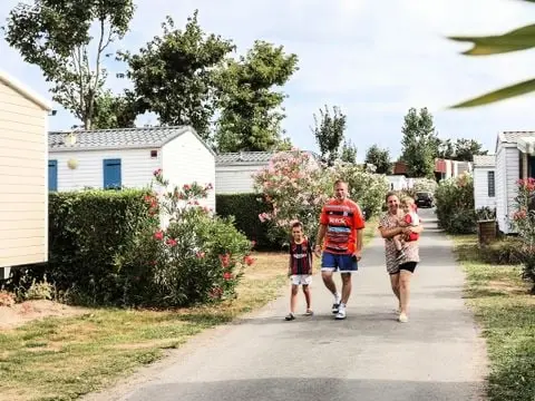 Camping Les Dinosaures 4 étoiles★★★★